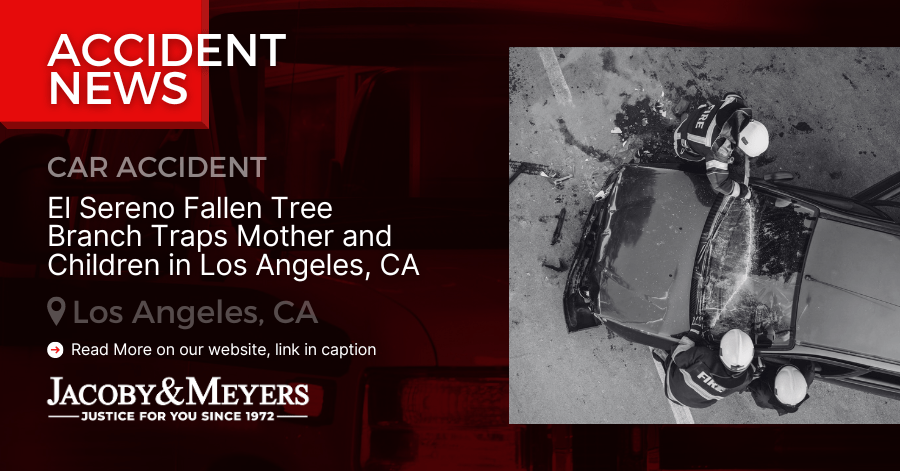 El Sereno Fallen Tree Branch Traps Mother and Children in Los Angeles, CA