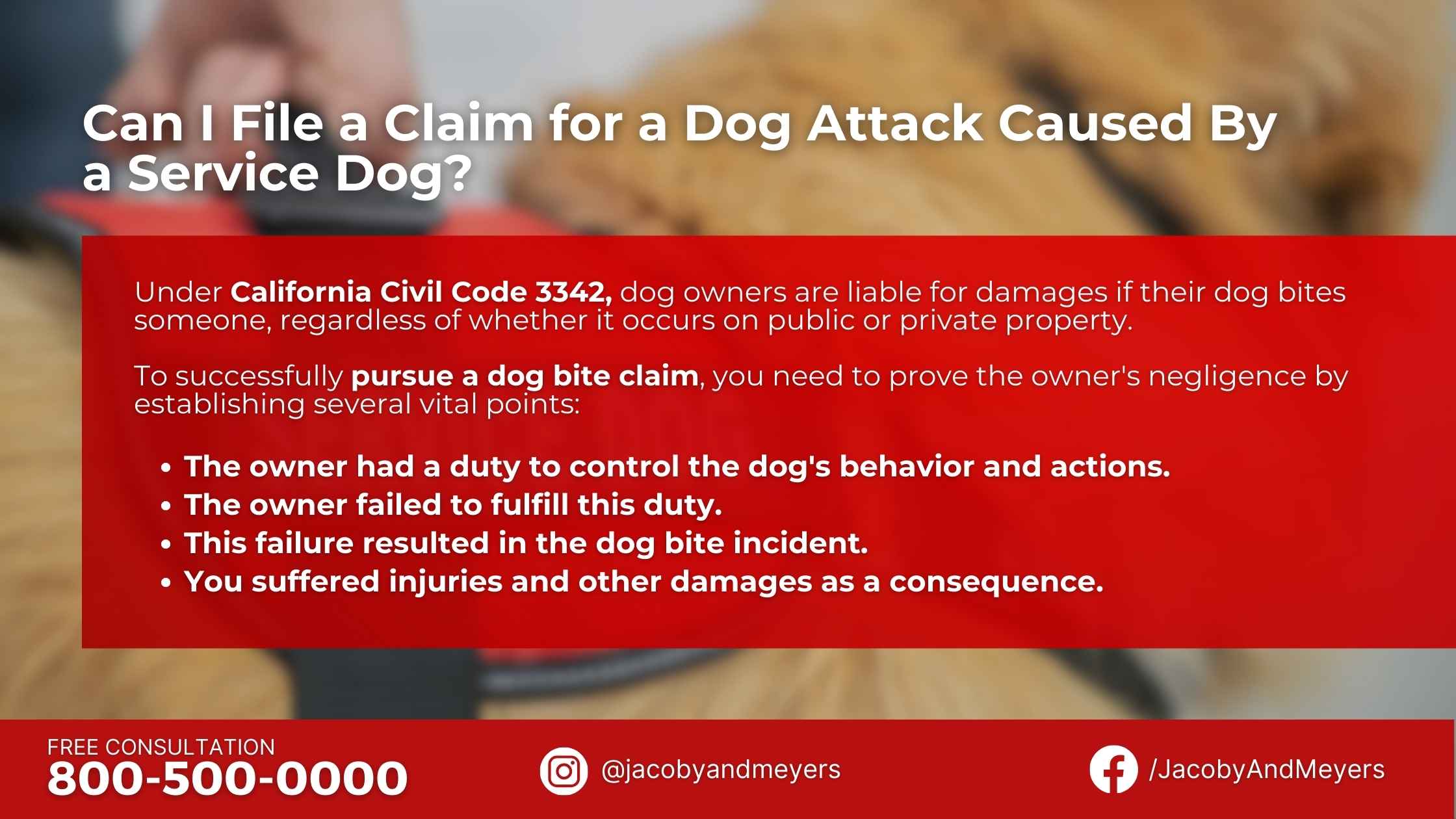 Can I File a Claim for a Dog Attack Caused By a Service Dog?